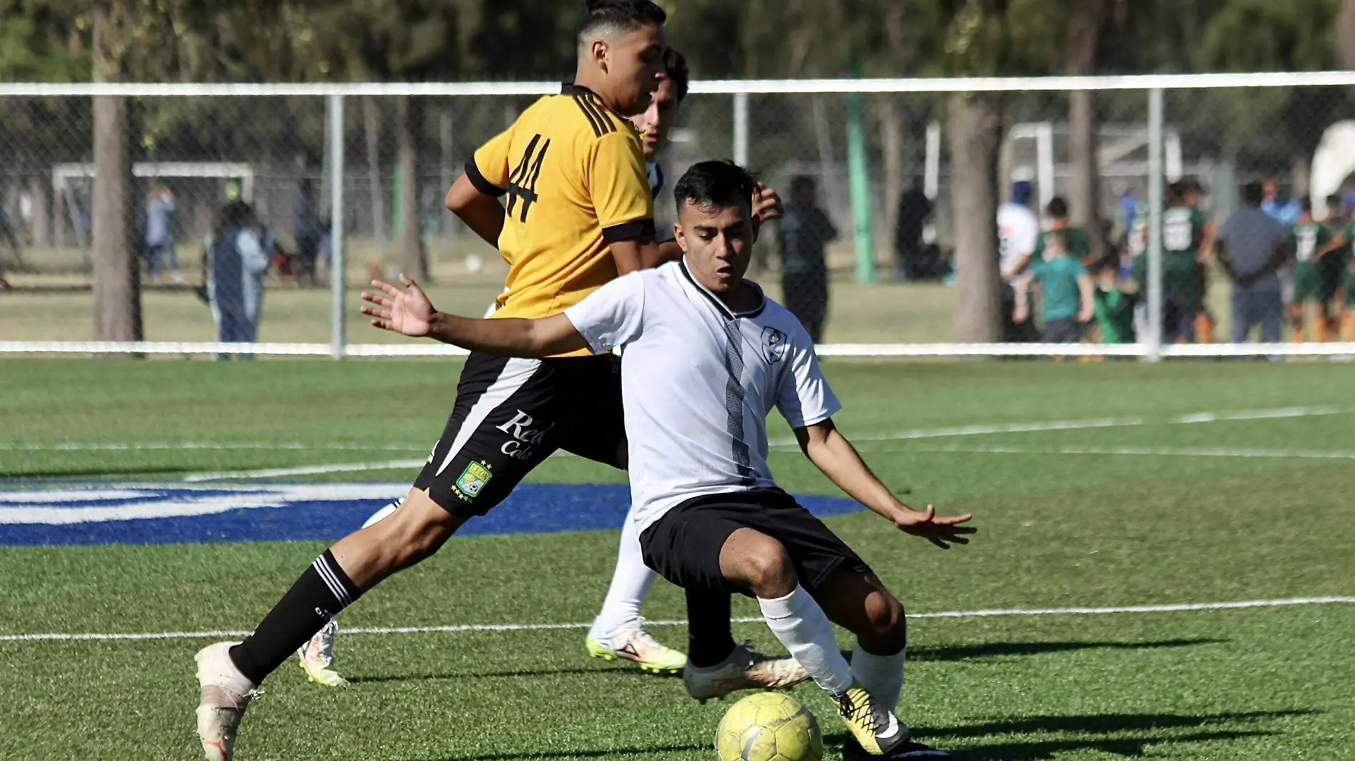 FCO MEZA - LIGA ESTUDIANTIL (9)